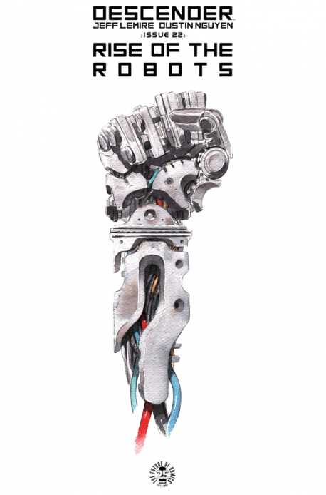 Descender 22 1